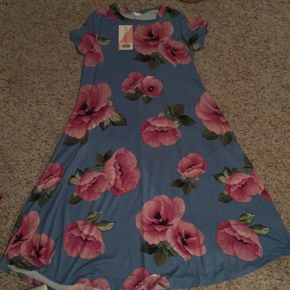 Piphany (Honey and Lace dress) Xs